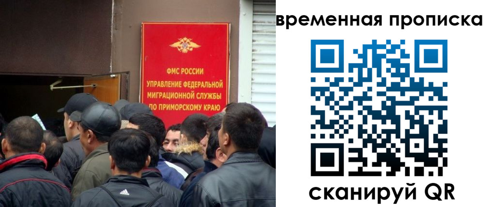 прописка в Борзе